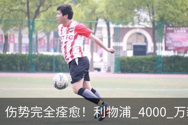伤势完全痊愈！利物浦 4000 万新援迎世界杯首秀，西班牙边路解燃眉之急